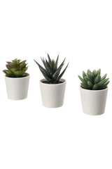 3 Pieces Artificial Plant Cactus Meridyendukkan 6 Cm 3 Flowers Green Cactus - Swordslife