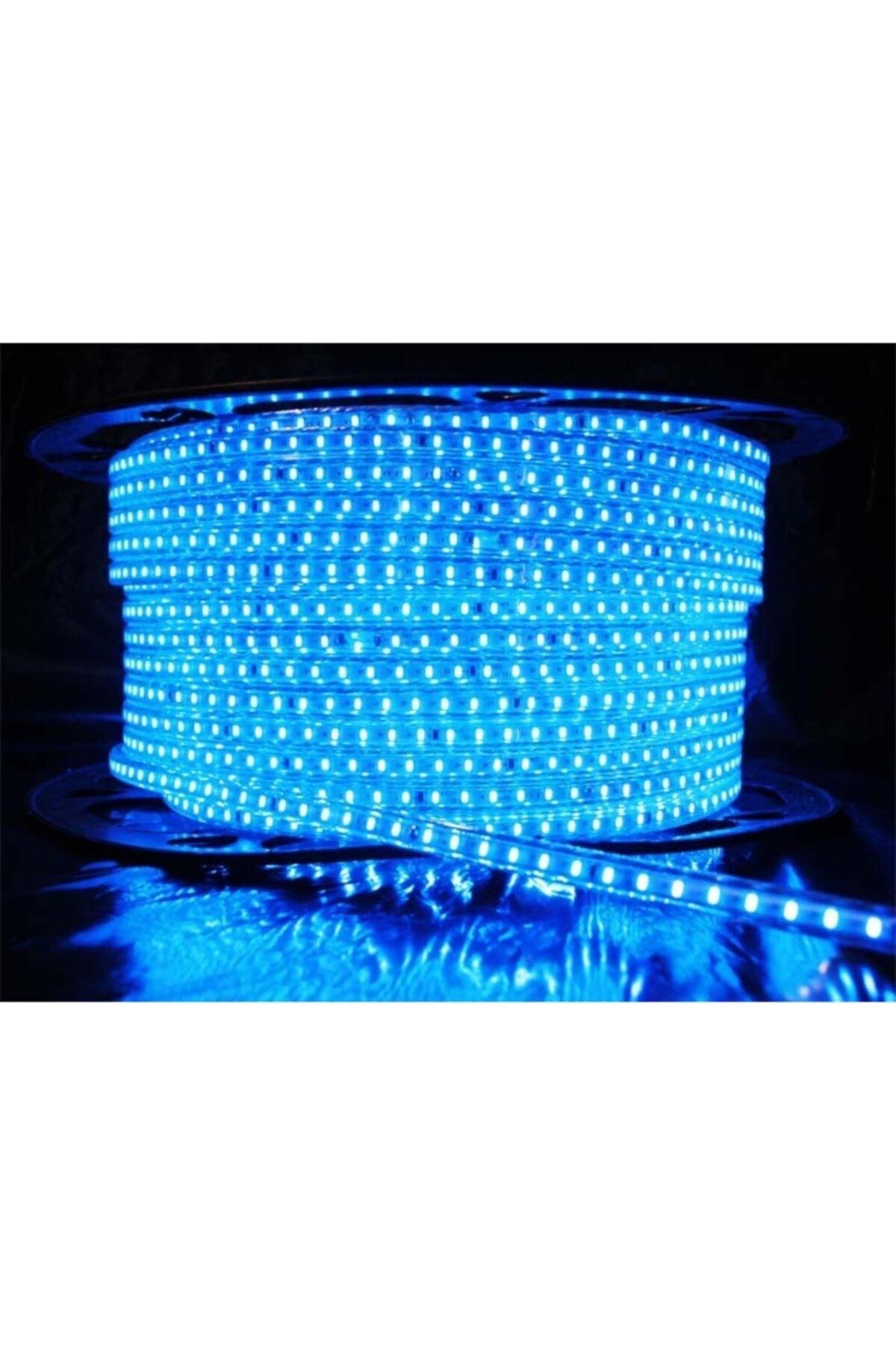 30 Meters Blue Hose Led 220 Volt