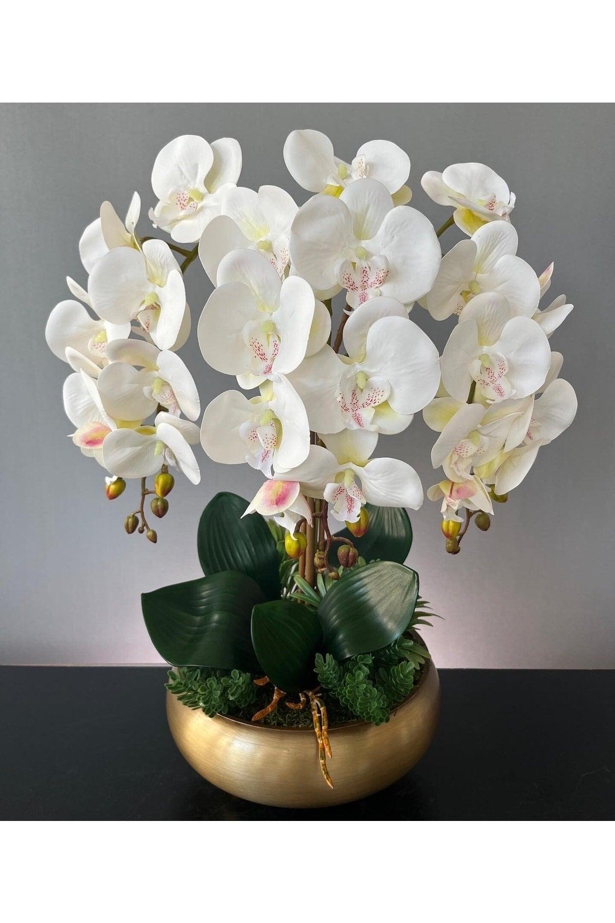 Artificial Wet 3 Orchid Arrangement Ufo Tumbled Matt Gold Pot - Swordslife