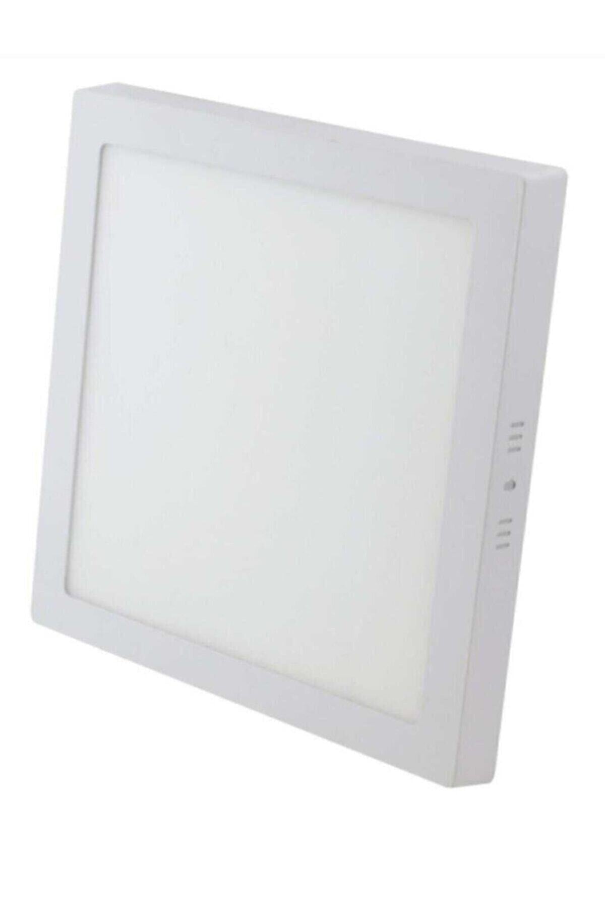 Wall-Mounted LED Panel – 3000K Daylight + Blue