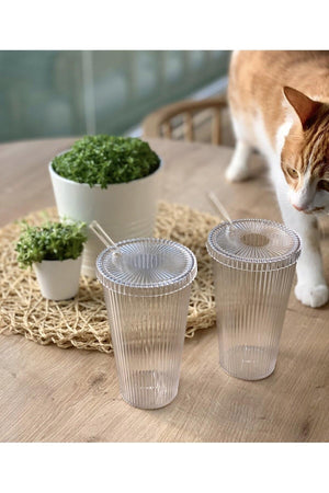 Mi̇Ka 2 Pieces 600 Ml Mica Lid Origami Style Mica Cup With Straw | Presentation Glass Soft Drink Glass