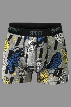 Men'S Patterned 6 Pcs Premium Combed Combed Box Cotton Lycra Boxer