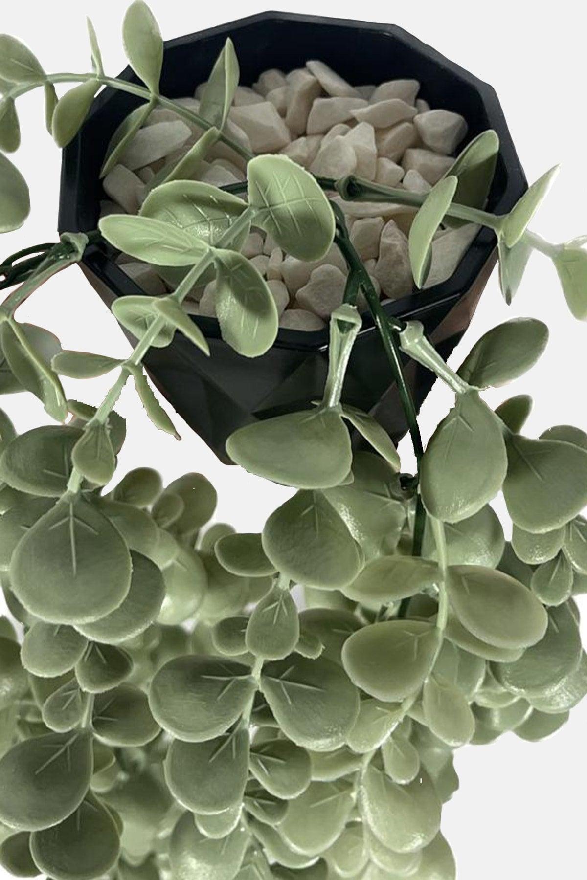 Artificial Flower Diamond Black Pot Pastel Green Eucalyptus Pendant Lamp - Swordslife