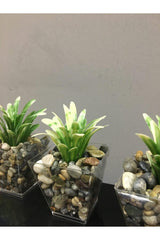 Artificial Greenery in 3 Pebble Pots White 6cm X10cm - Swordslife