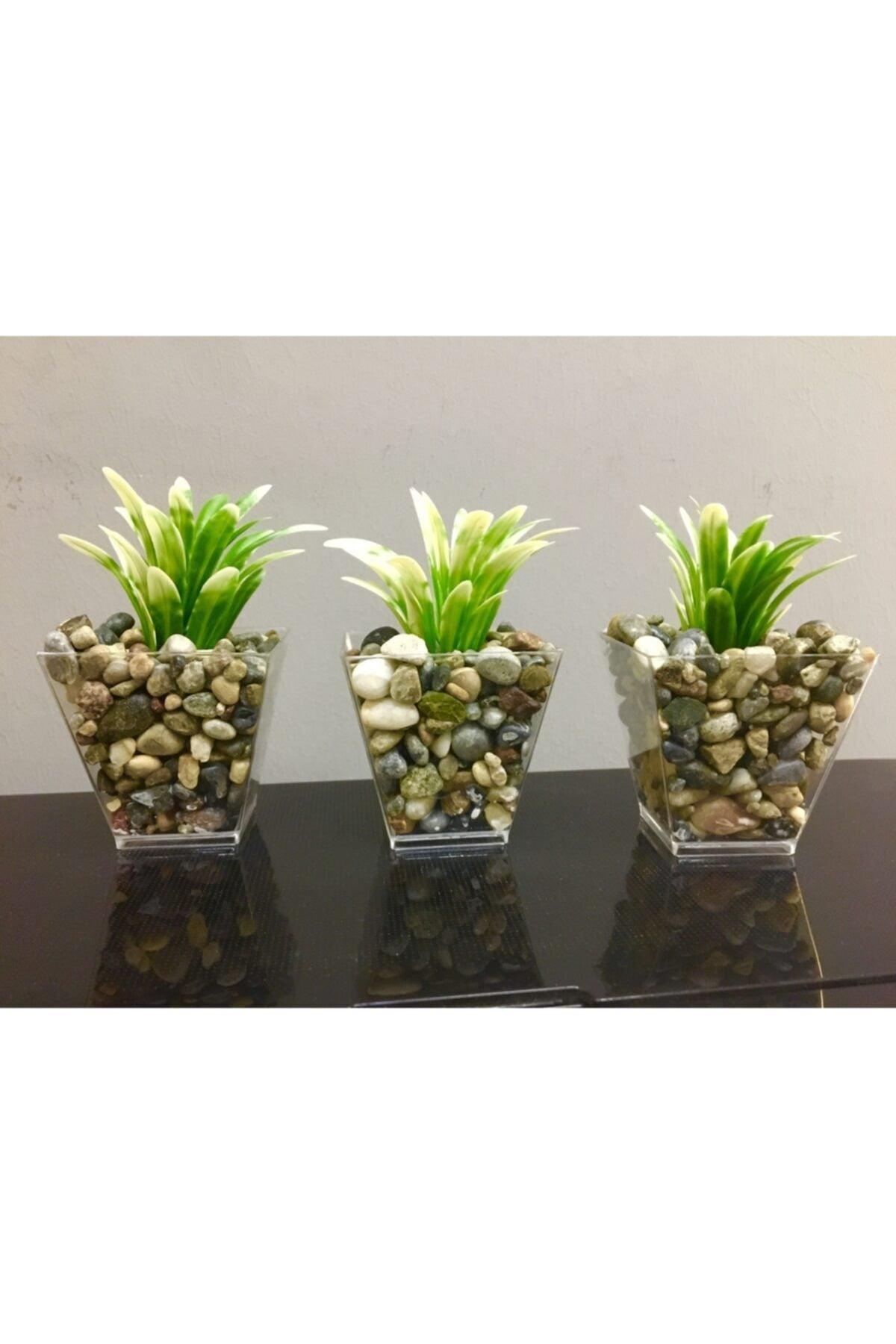 Artificial Greenery in 3 Pebble Pots White 6cm X10cm - Swordslife