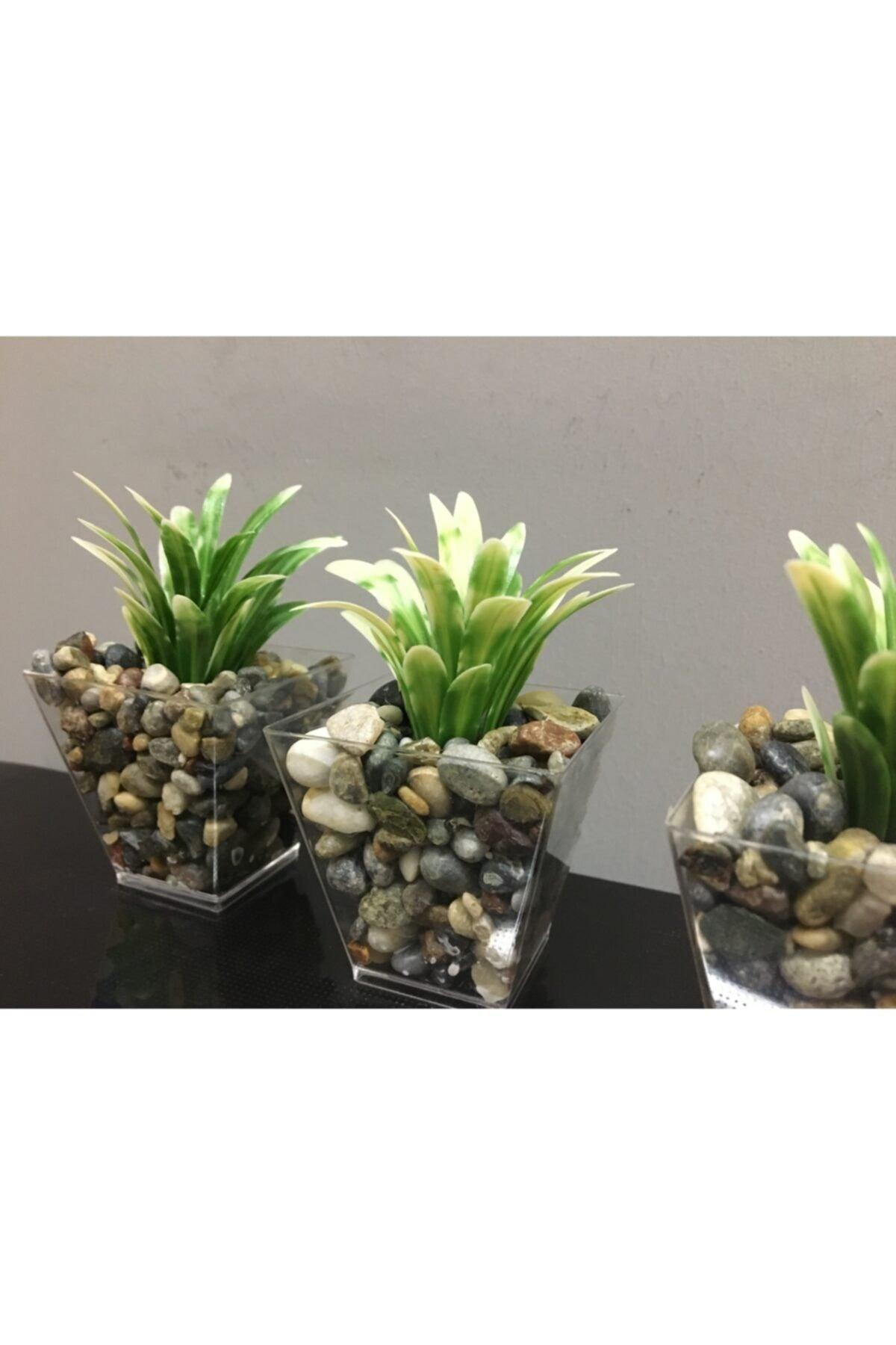 Artificial Greenery in 3 Pebble Pots White 6cm X10cm - Swordslife