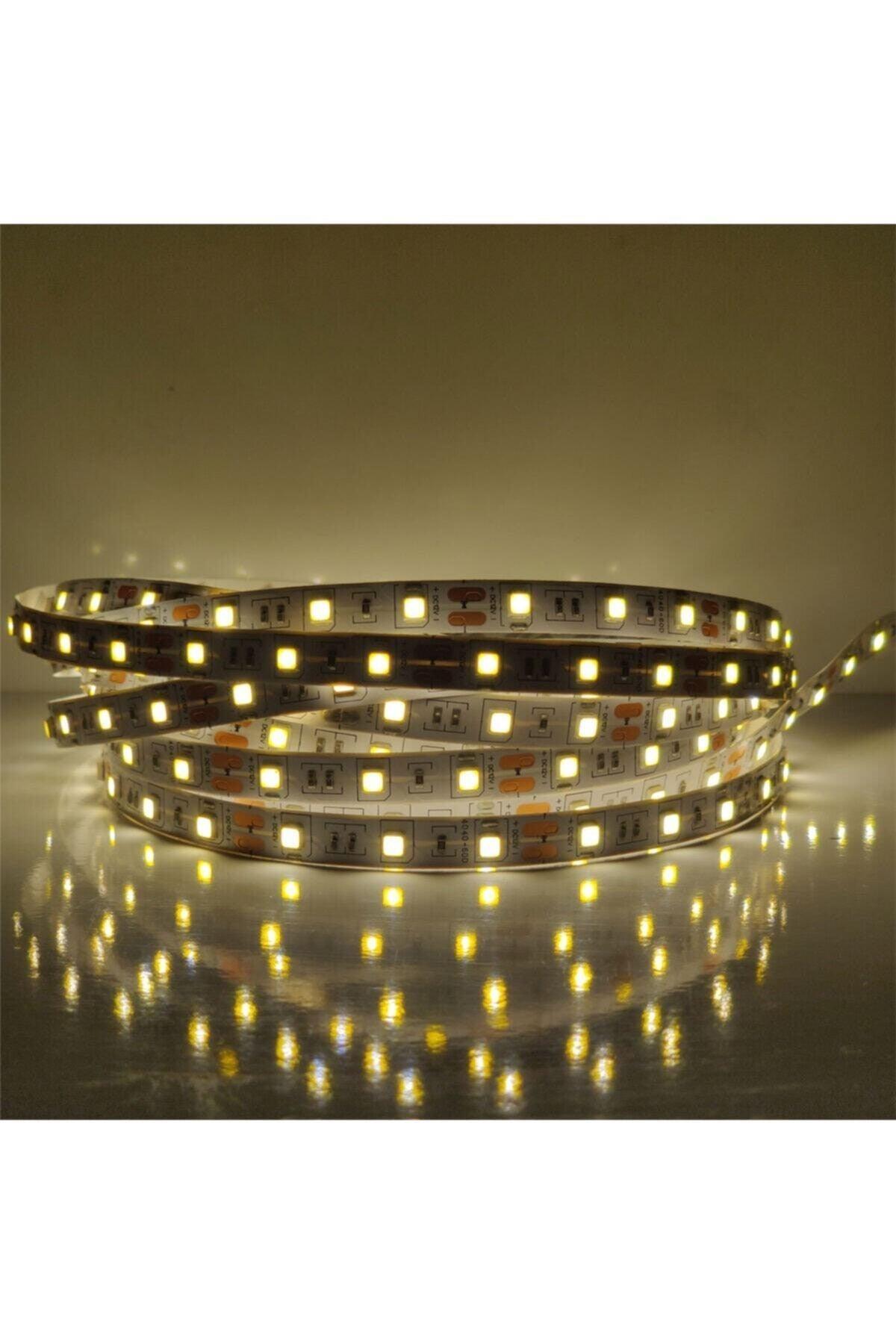 4040 New Generation Led Strip 20 m Daylight 20