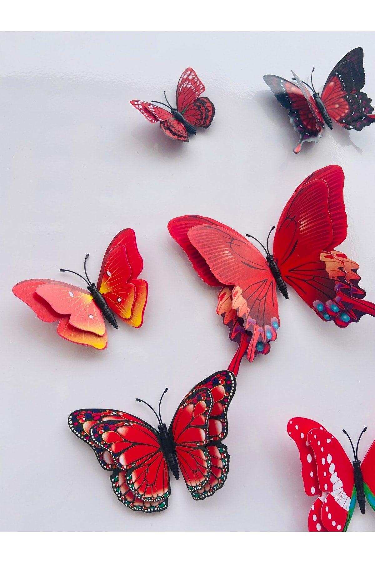 Double Winged Butterfly Custom Butterflies 3d Three-dimensional Wall And Fridge Ornament - Swordslife