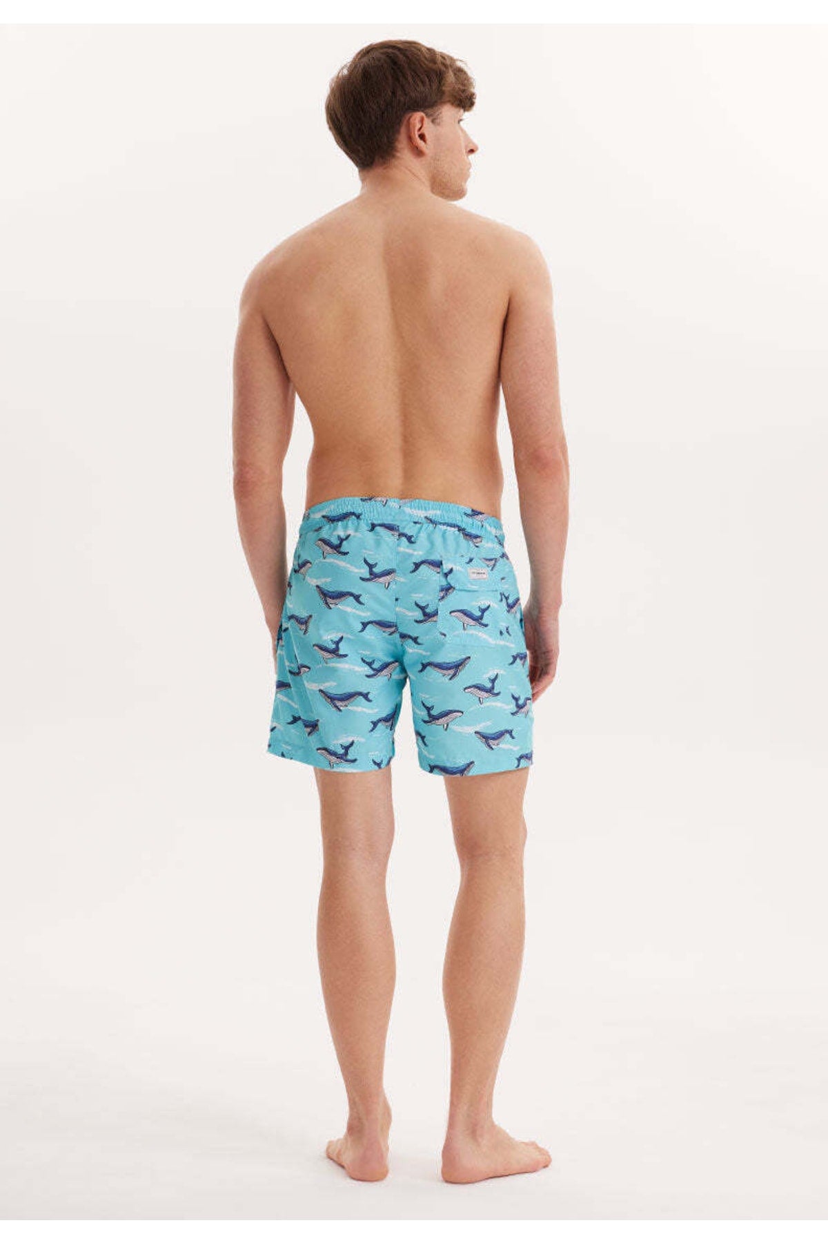 Men's Turquoise Printed Marine Shorts Wmpattern Swımshorts