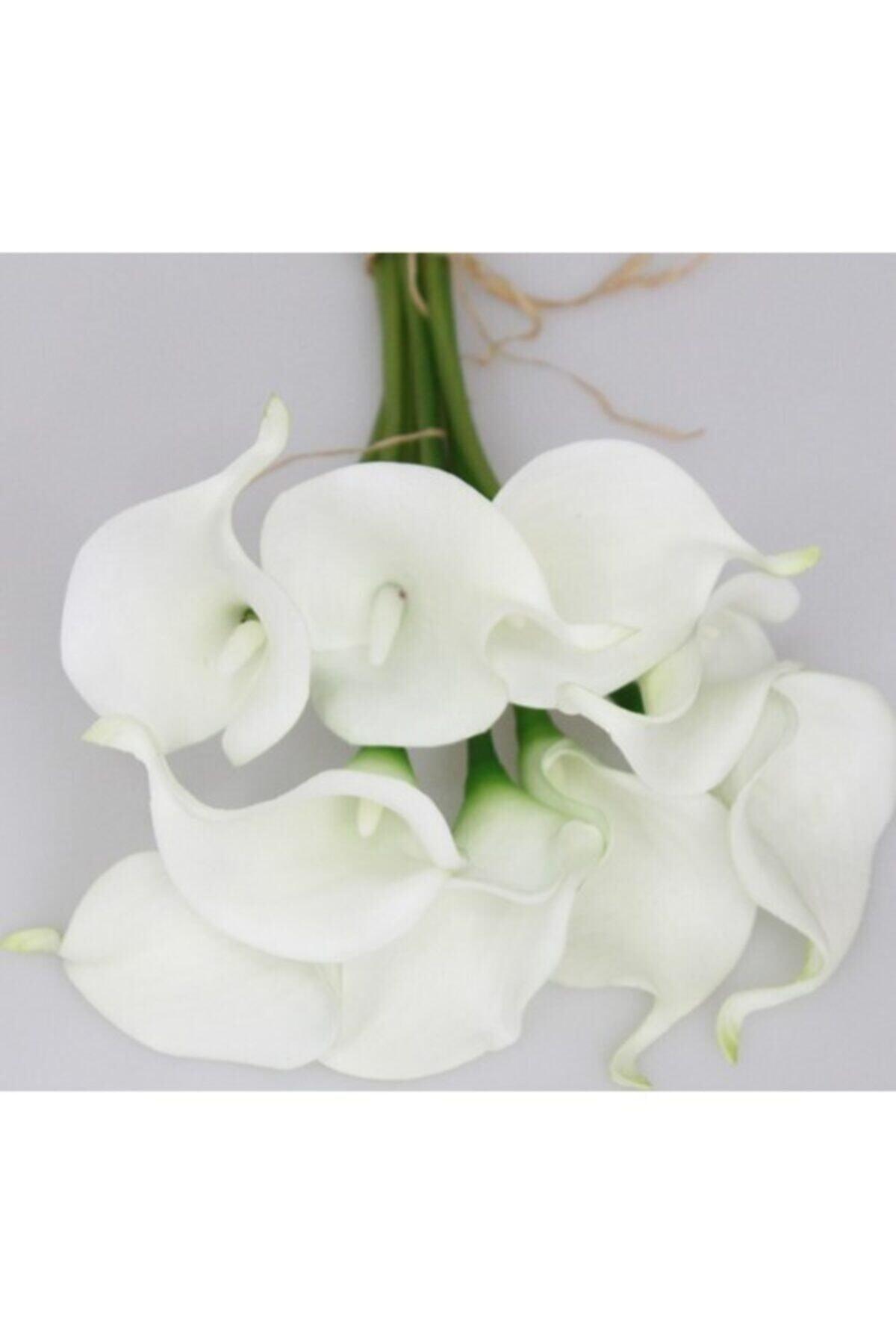 Artificial Flower Wet Realistic Texture Gala Flower 6 Branches - Swordslife