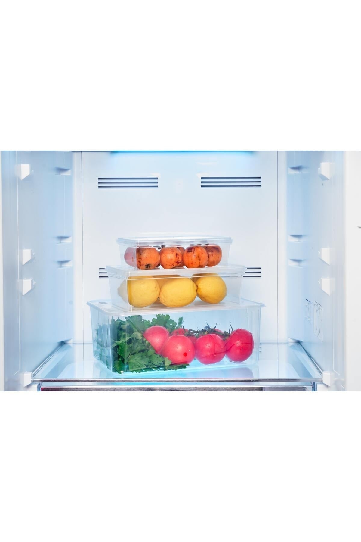 Plastic Storage Container 1Lt 10Pcs Self-Covered Locked, Freezer, Food Grade Pp(19*13*6)Cm