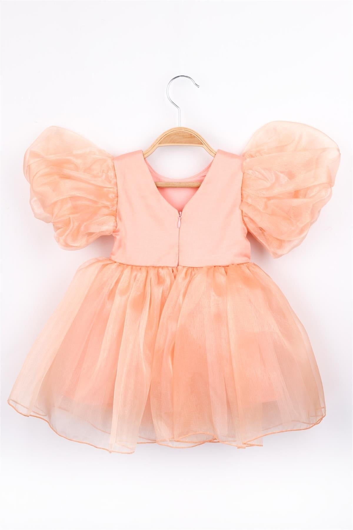 Salmon Crown Organza Girl's Party Dress - Carlene