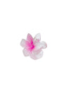 Hibiscus Luxury Acetate Latch Buckle - Swordslife