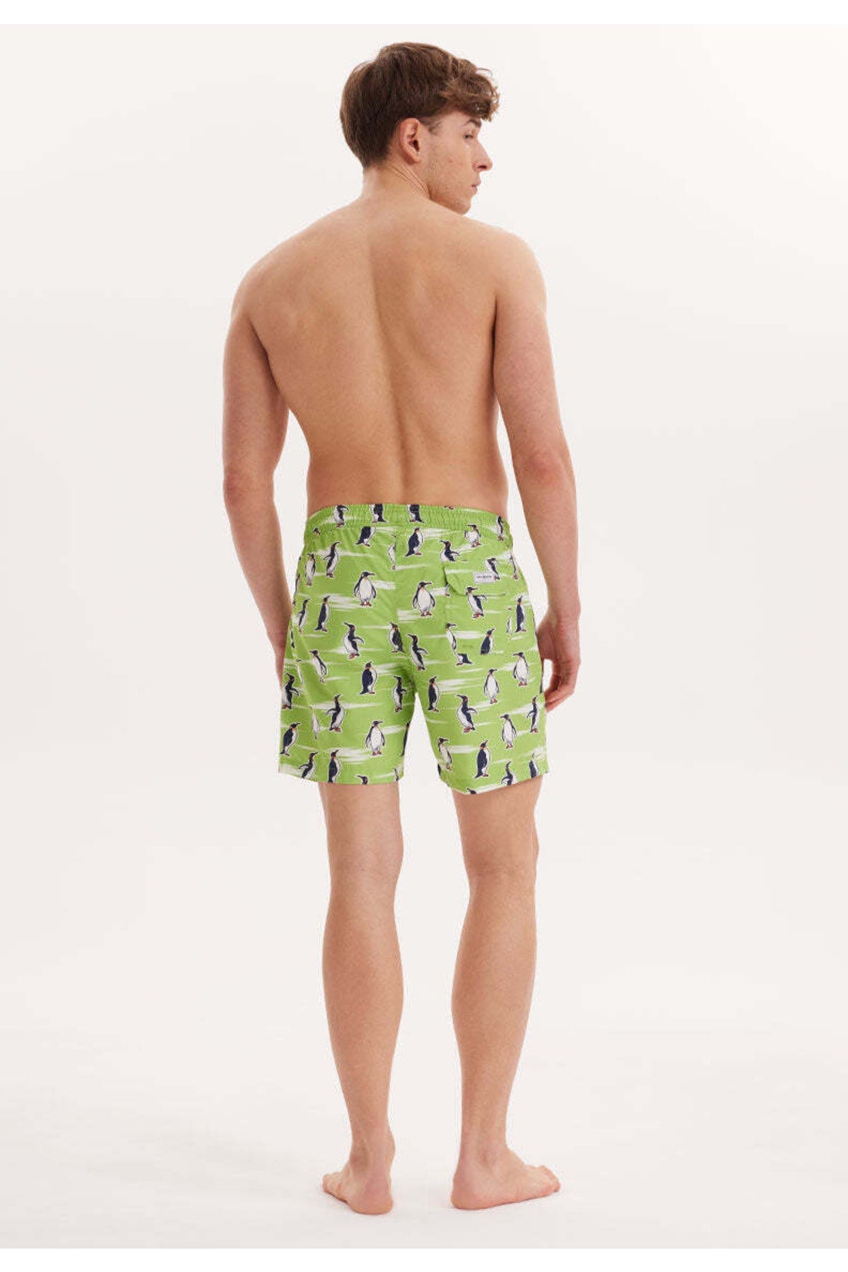 Men's Green Printed Marine Shorts Wmpattern Swimshorts