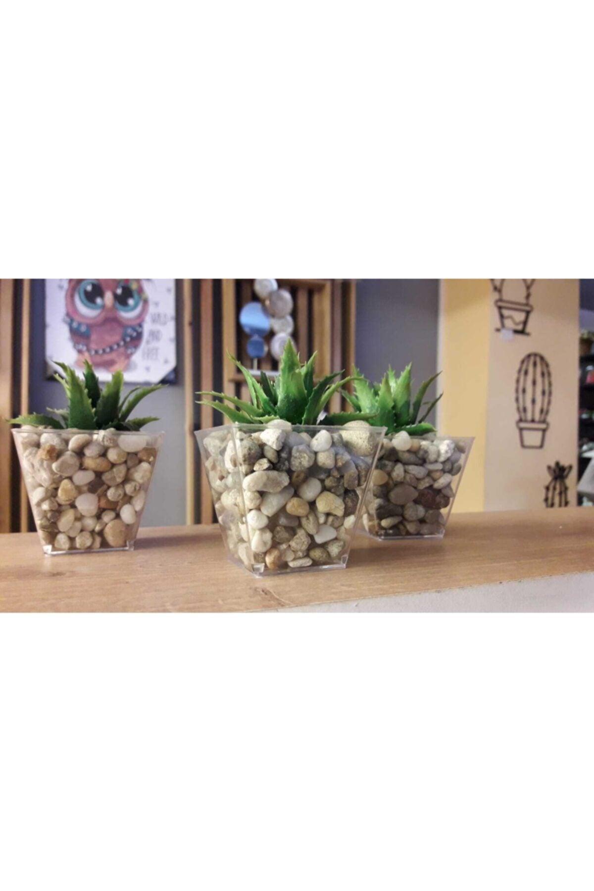 Succulent Artificial Succulent Succulent Artificial Flower in 3 Pack Pebble Pot 6cmx9cm - Swordslife