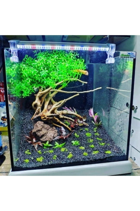 50 cm 4 Color Mixed Planted Aquarium Led