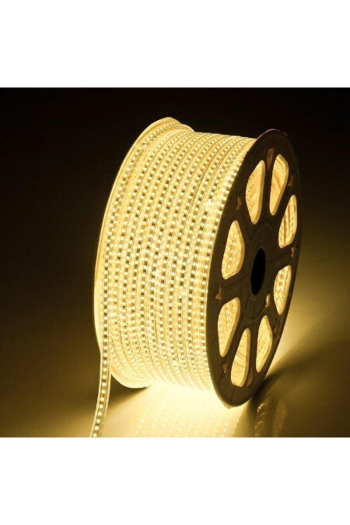 50 Meters Daylight Hose Led 220 Volt