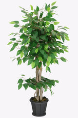 Artificial Benjamin Tree in Wooden Pot 100 Cm Green - Swordslife