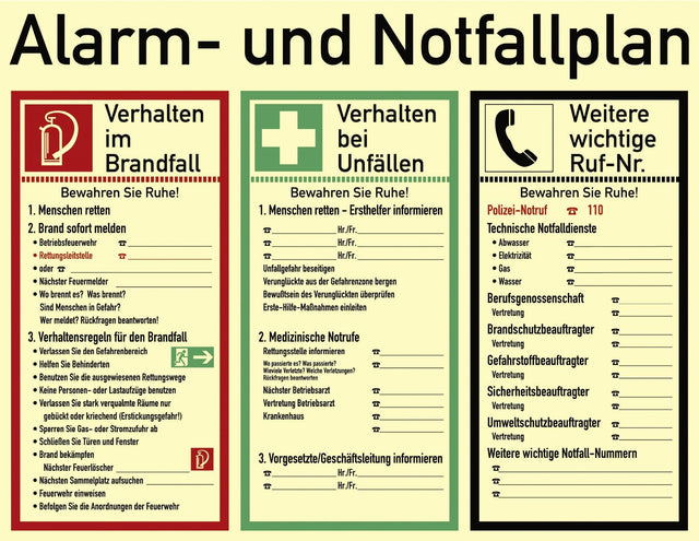 Alarm/Emergency Plan Emphasis - Swordslife