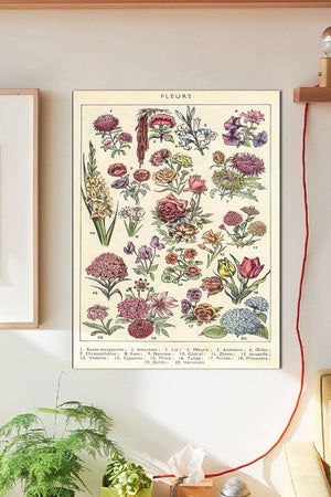 Amarante Wall Poster Large 45x30 cm - Swordslife