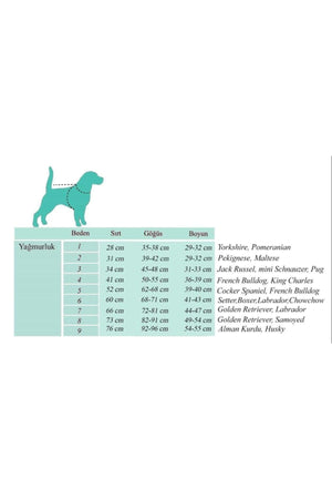 Aqua Dog Clothes Coat Raincoat