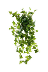 Artificial Flower Black Pot Hanging Flower Hedera Ivy - Swordslife