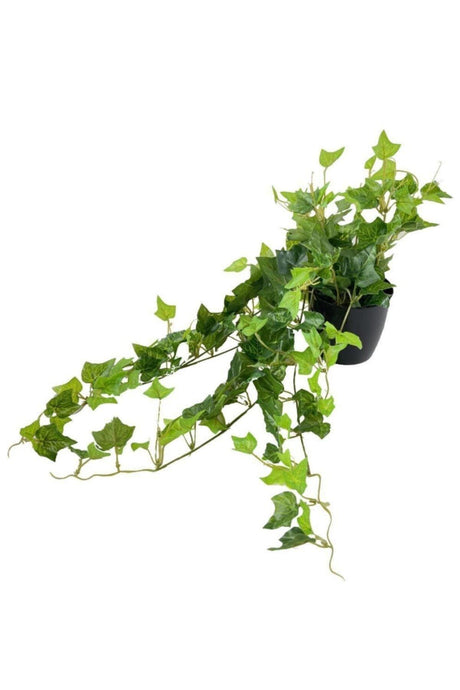 Artificial Flower Black Pot Hanging Flower Hedera Ivy - Swordslife