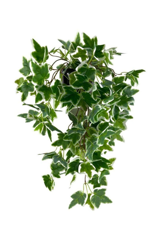 Artificial Flower Pot Hanging Green White Hedera Artificial Ivy Pastel 45cm - Swordslife