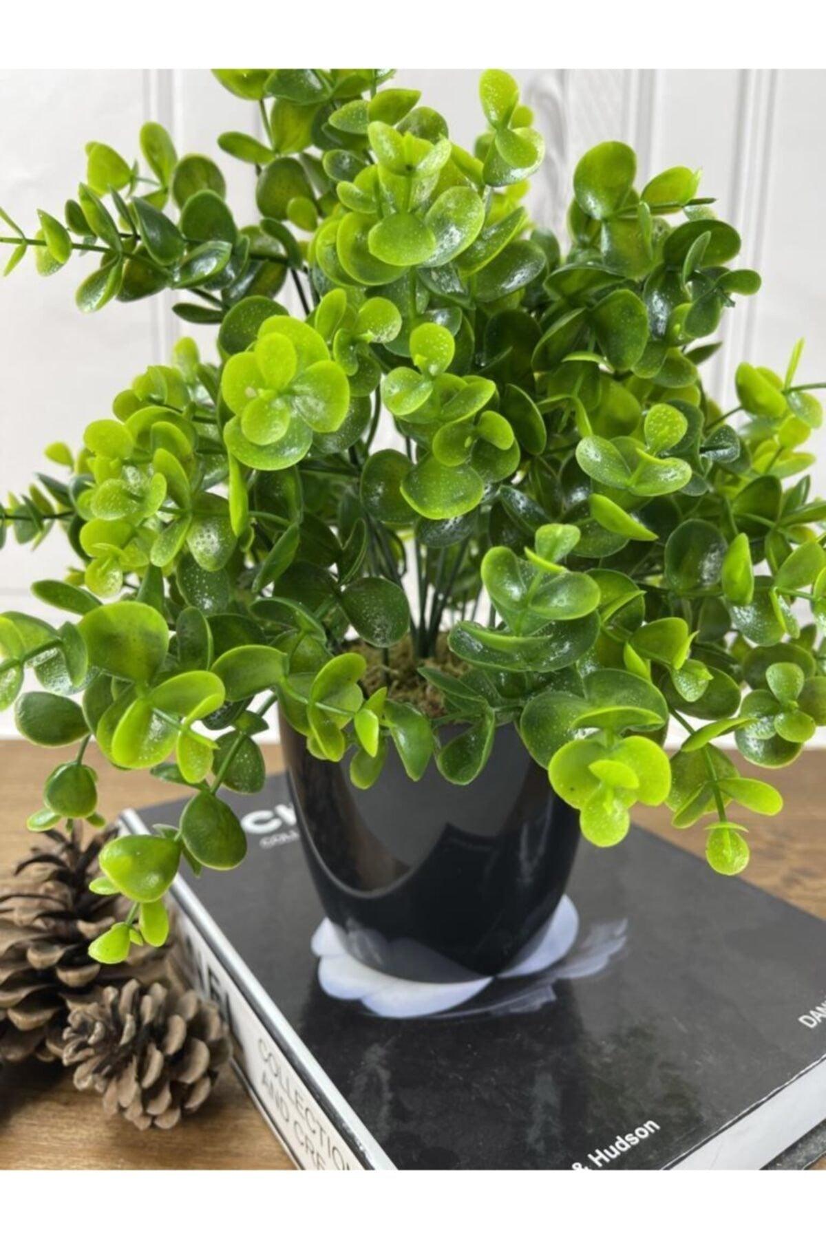 Artificial Flower Boxwood Eucalyptus Artificial Plant Black Plastic Pot Decorative Ornamental Flower - Swordslife