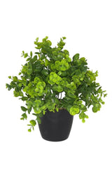 Artificial Flower Boxwood Eucalyptus Artificial Plant Black Plastic Pot Decorative Ornamental Flower - Swordslife