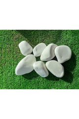 White Dolomite 25 Kg 2,5-4 Cm Dolamite Stone Stream Stone Pebble Stone Garden Ornamental Stone Decorative Stone Loche - Swordslife