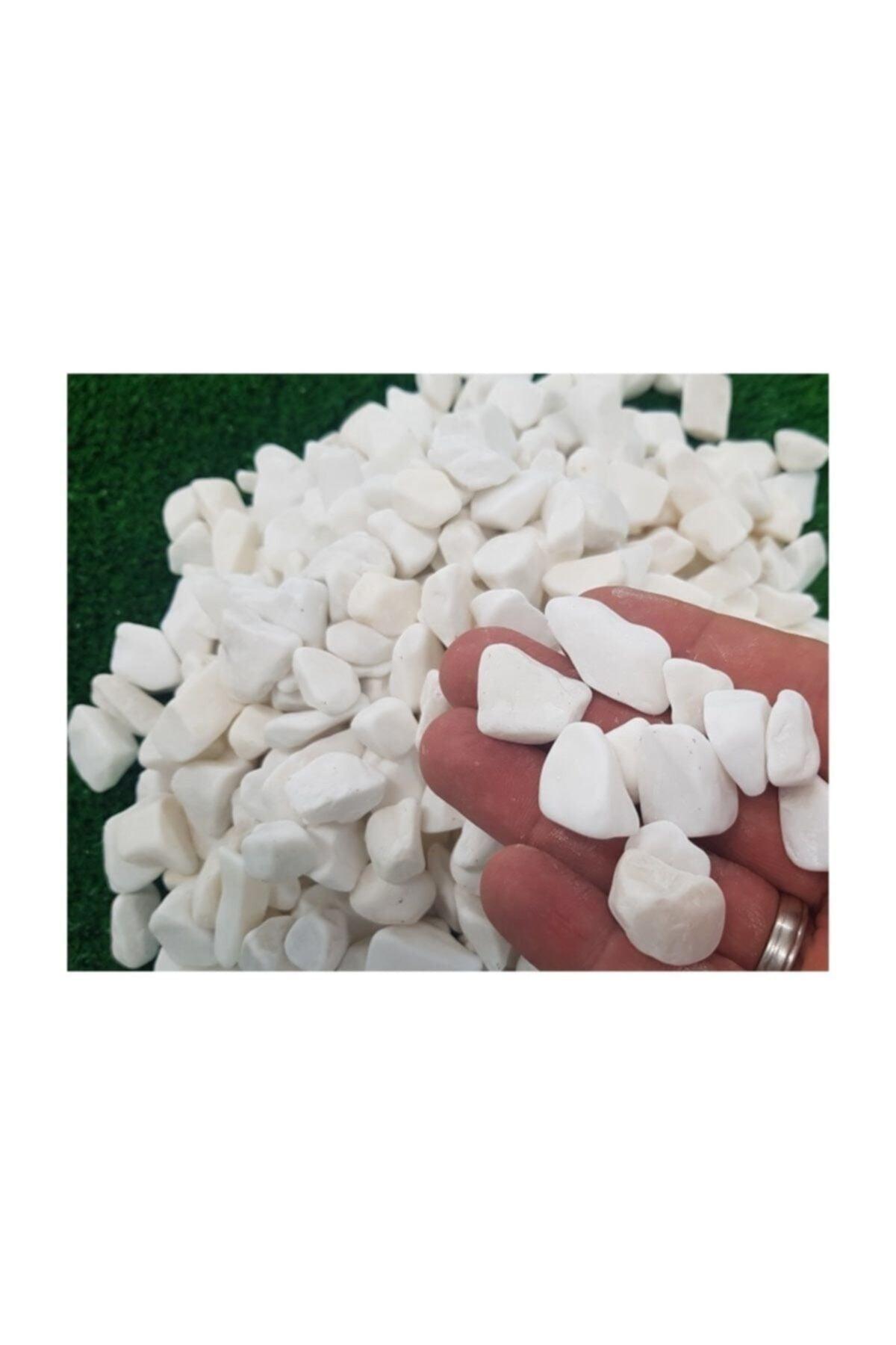 White Dolomite Stone 5 kg 1.5-2.5 cm Garden Stone Decorative Stone Stream Stone - Swordslife