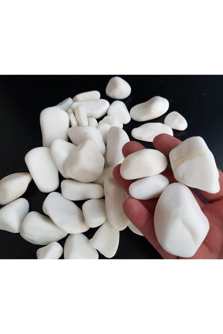 White Stone 3 Kg 2-4 Cm White Dolomite Stone Stream Stone Pebble Stone Garden Ornamental Stone Aquarium Terrarium Stone - Swordslife