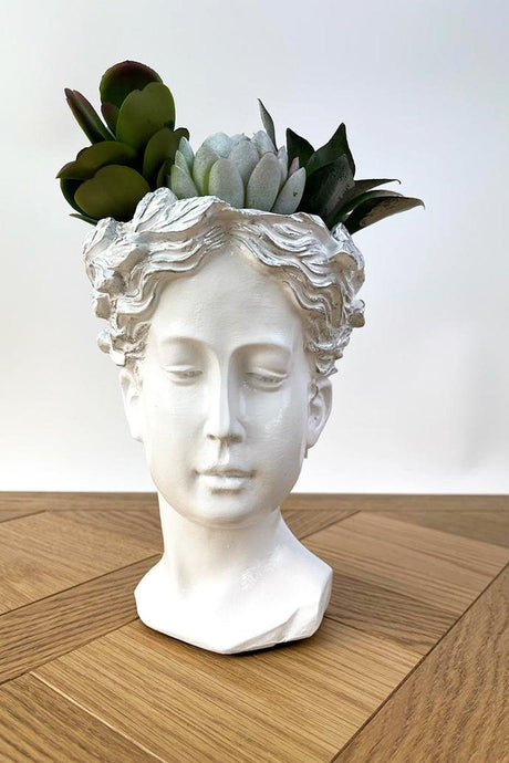 Large Helen Head Concrete White Pot Artificial Succulent Arrangement - Swordslife