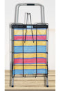 Big Size Bag Foldable Wire Shopping Trolley - Swordslife