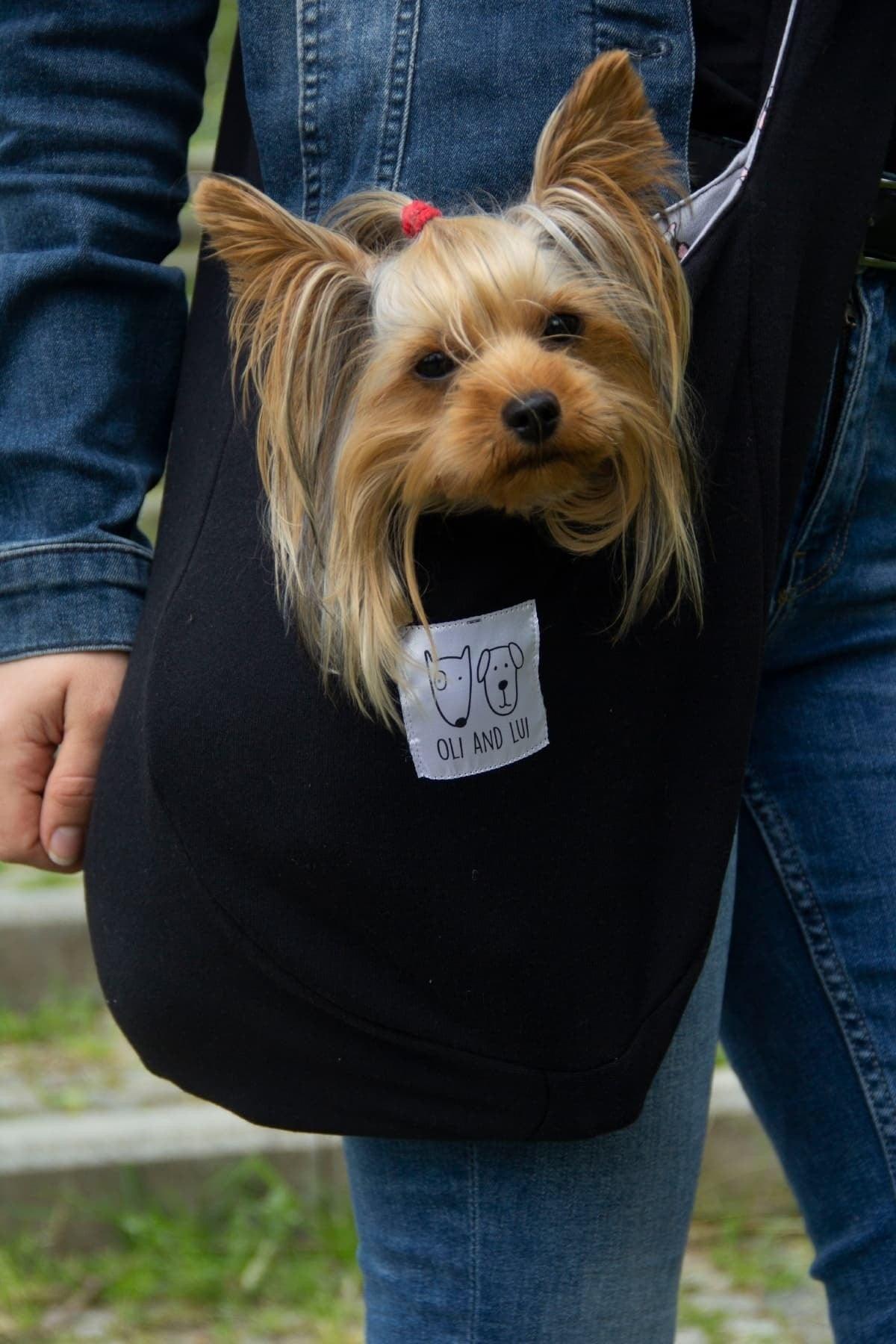 Black Dog Carrying Bag