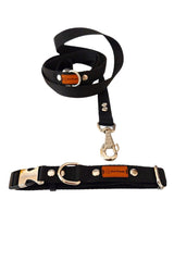 Black Small Medium Breed Dog Collar and