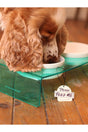Cat And Dog Decorative Food & Water Container