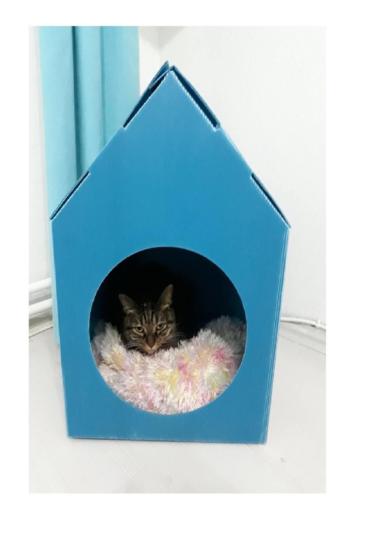 Cat House Cat Kennel Folding Cat Nest