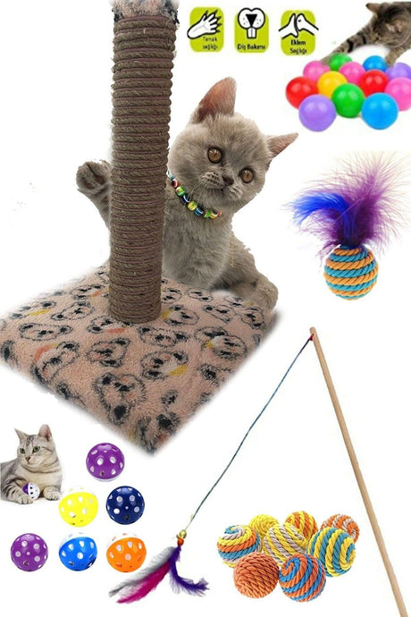 Cat Scratching Board