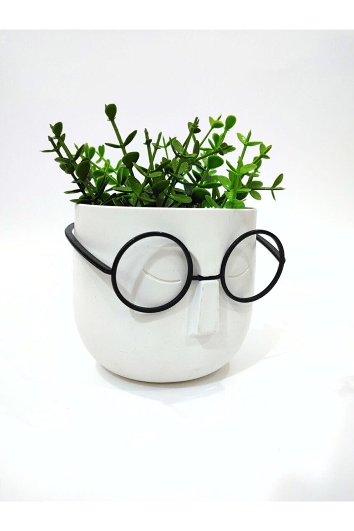 Crazy Professor Glasses Artificial Flower Pot Decorative Trinket White - Swordslife