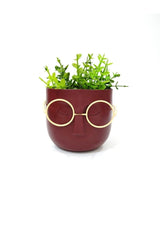 Crazy Professor Glasses Artificial Flower Pot Decorative Trinket Burgundy - Swordslife