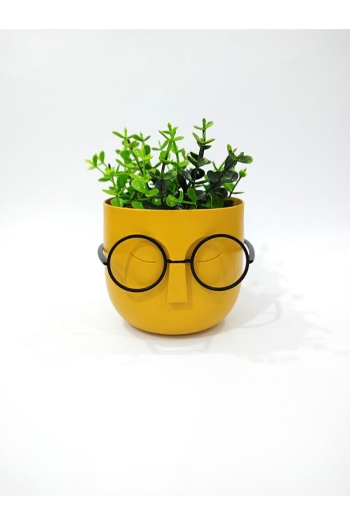 Crazy Professor Glasses Artificial Flower Pot Decorative Trinket Yellow - Swordslife