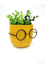 Crazy Professor Glasses Artificial Flower Pot Decorative Trinket Yellow - Swordslife