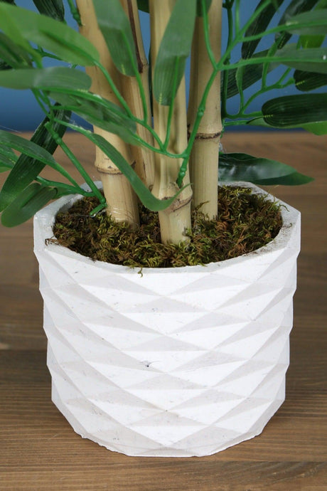 Bamboo Tree in Concrete Pot with 4 Trunks 110 Cm - Swordslife