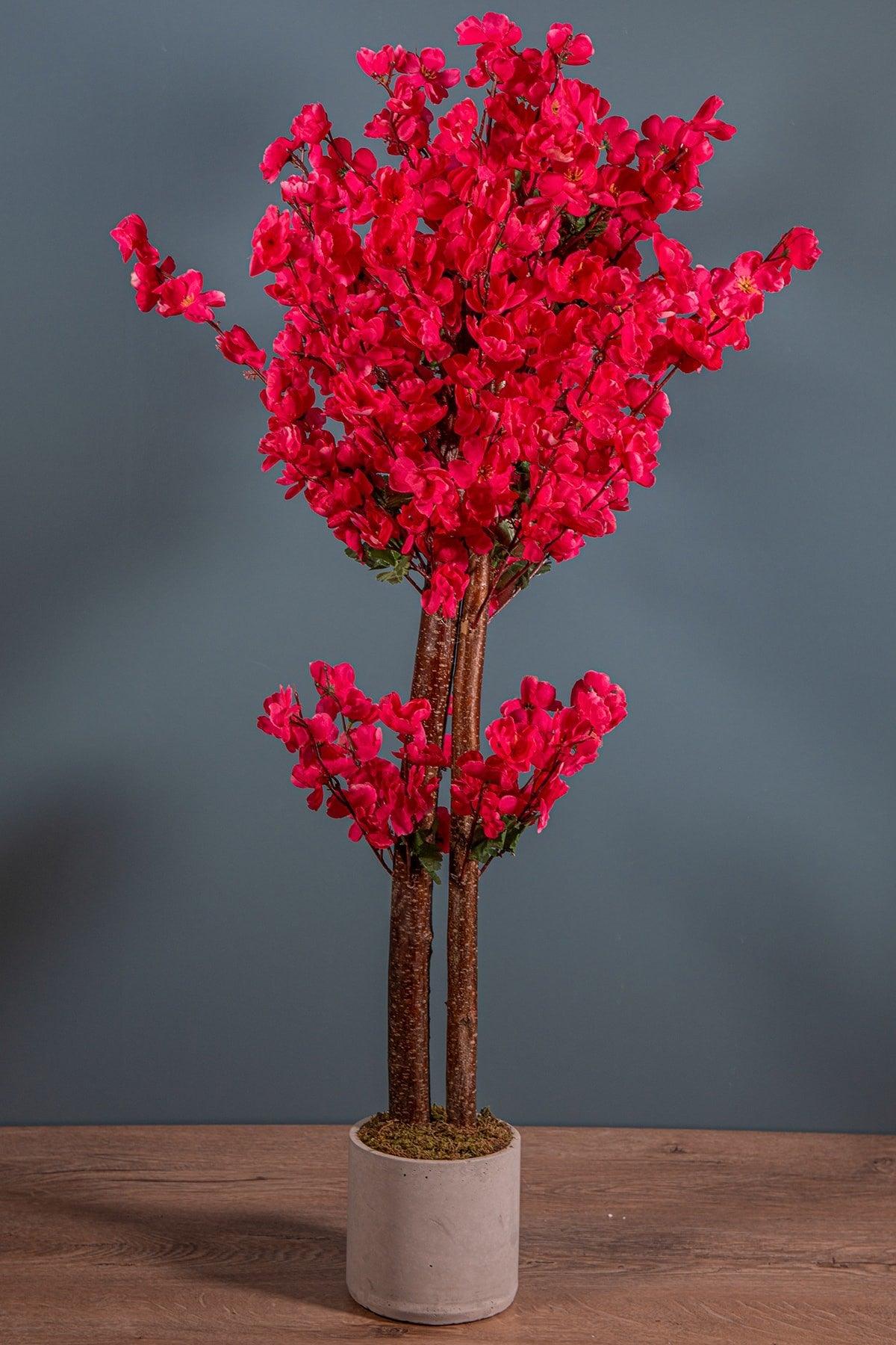 100 Cm Pomegranate Flower Colorful Spring In Concrete Pot