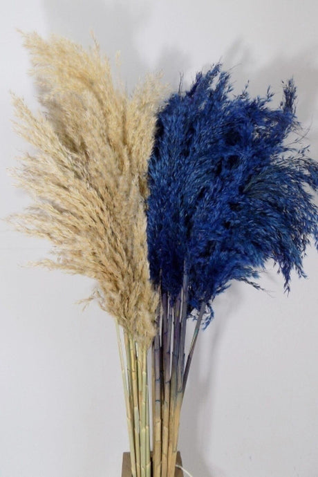 Cream-Blue Color Pampas 20 Pieces 120 Cm - Swordslife