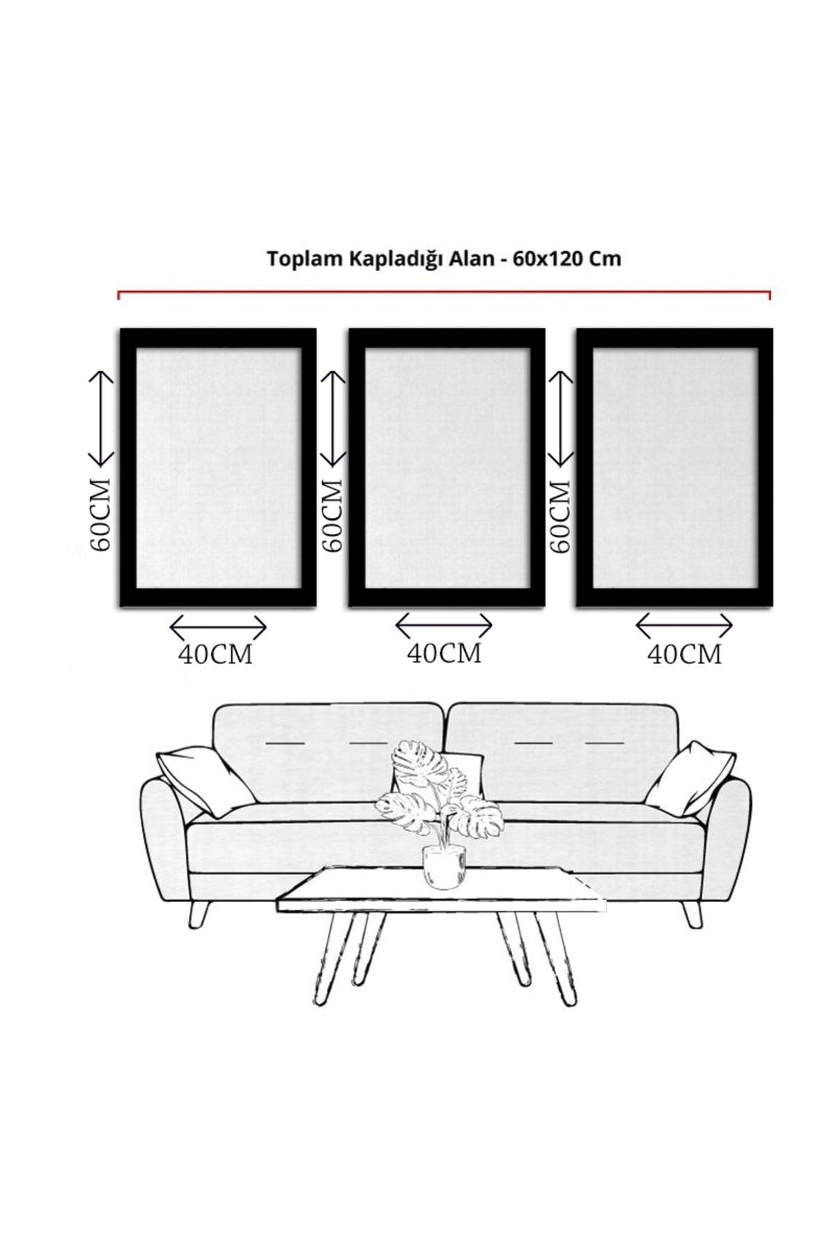 Cream Rose - Silver Mirror Framed Painting Set of 3-hyn-0348 - Swordslife