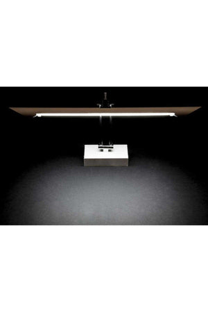 CT-5206 6 W Flamingo Led Sconce White Light