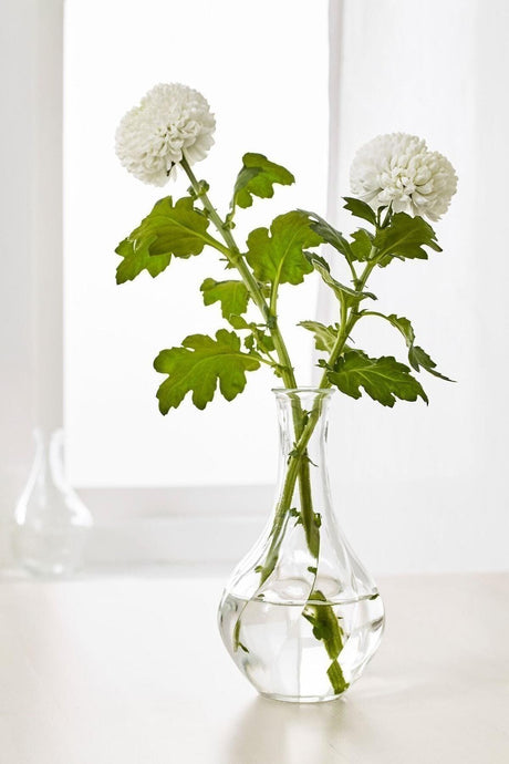 Decorative Glass Vase Small Size 17 Cm Flower Vase A Quality - Swordslife